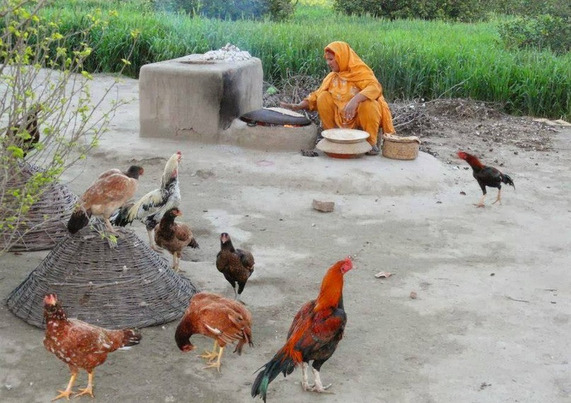 Making of Bread (Chapati) Traditionally